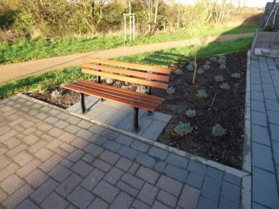 Baumbeet 2